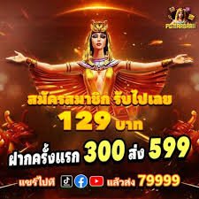 6633win